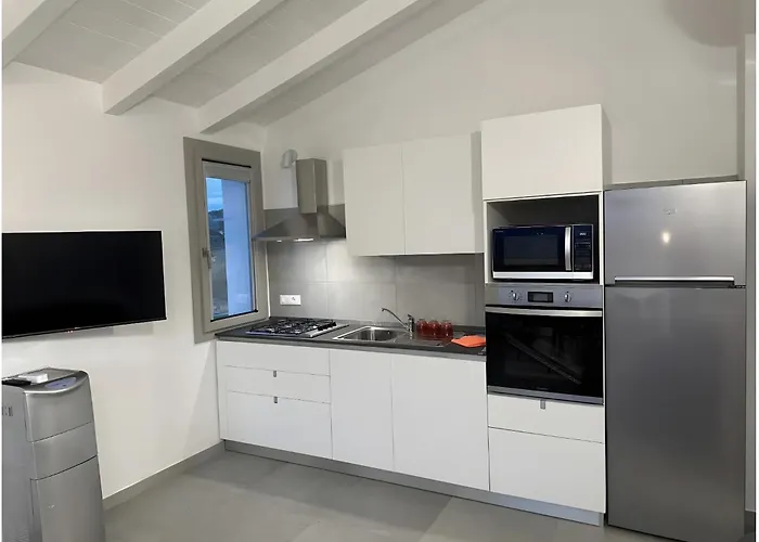 Fiori Di Cactus Agave * オルビア